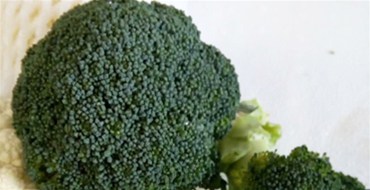 海南同德食品配送有限公司將于四月開(kāi)始與云南基地合作